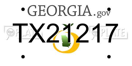 TX21217 Georgia License Plate