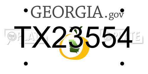 TX23554 Georgia License Plate