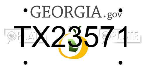 TX23571 Georgia License Plate