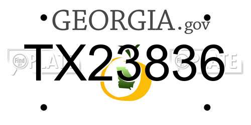 TX23836 Georgia License Plate
