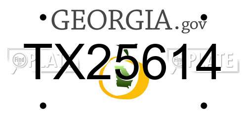 TX25614 Georgia License Plate
