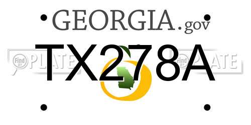 TX278A Georgia License Plate