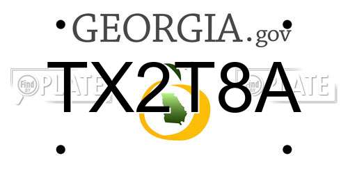 TX2T8A Georgia License Plate