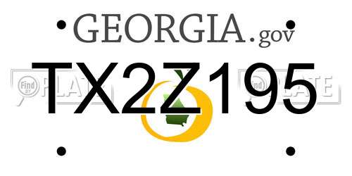 TX2Z195 Georgia License Plate