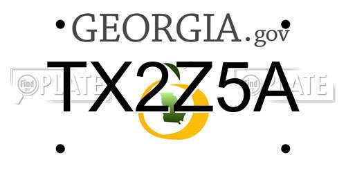 TX2Z5A Georgia License Plate