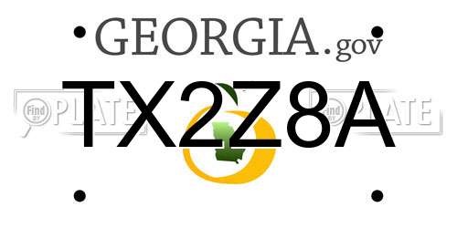 TX2Z8A Georgia License Plate