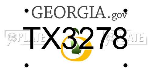 TX3278 Georgia License Plate