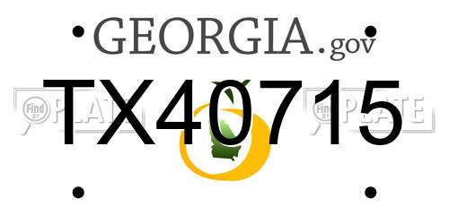 TX40715 Georgia License Plate