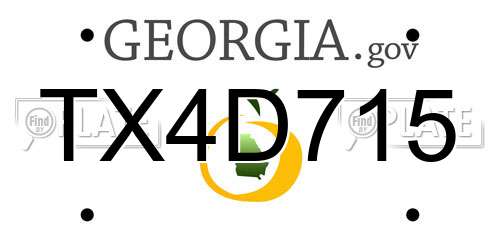 TX4D715 Georgia License Plate