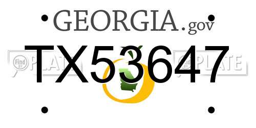 TX53647 Georgia License Plate