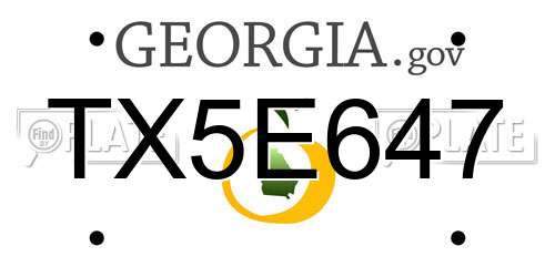 TX5E647 Georgia License Plate