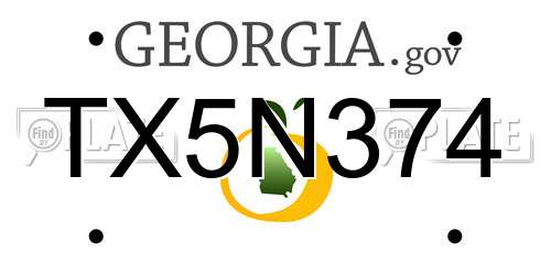 TX5N374 Georgia License Plate