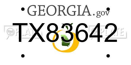 TX83642 Georgia License Plate