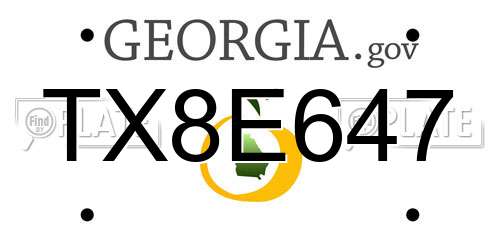 TX8E647 Georgia License Plate