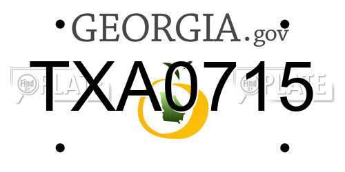 TXA0715 Georgia License Plate