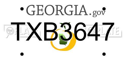 TXB3647 Georgia License Plate