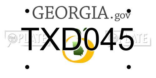TXD045 Georgia License Plate