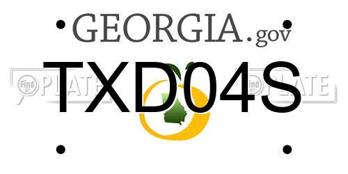 TXD04S Georgia License Plate