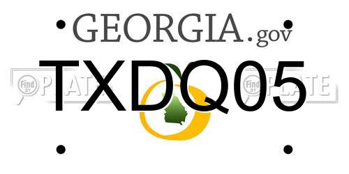 TXDQ05 Georgia License Plate
