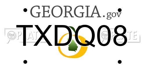 TXDQ08 Georgia License Plate