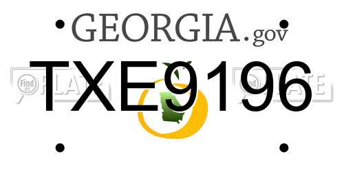 TXE9196 Georgia License Plate