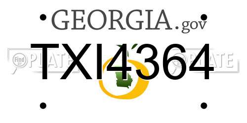TXI4364 Georgia License Plate