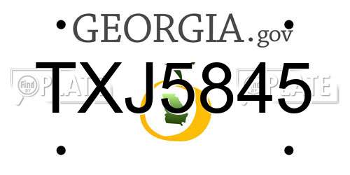 TXJ5845 Georgia License Plate