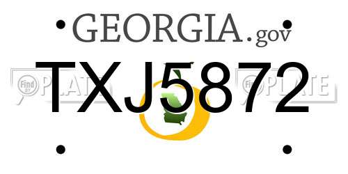 TXJ5872 Georgia License Plate