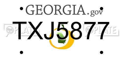 TXJ5877 Georgia License Plate