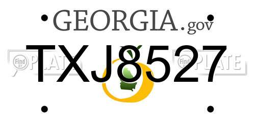 TXJ8527 Georgia License Plate
