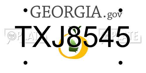 TXJ8545 Georgia License Plate