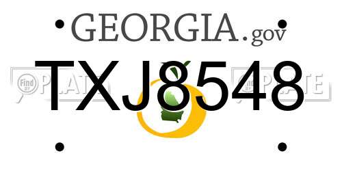 TXJ8548 Georgia License Plate