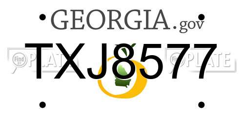 TXJ8577 Georgia License Plate