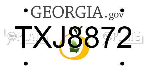 TXJ8872 Georgia License Plate