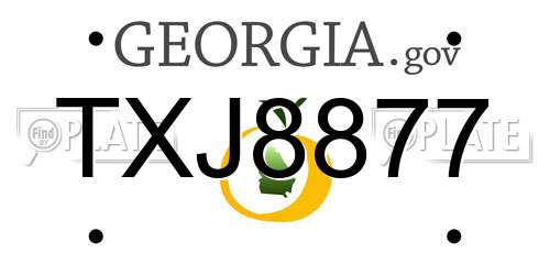 TXJ8877 Georgia License Plate