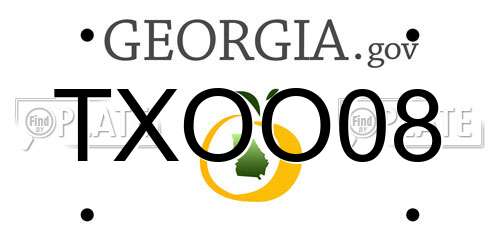 TXOO08 Georgia License Plate