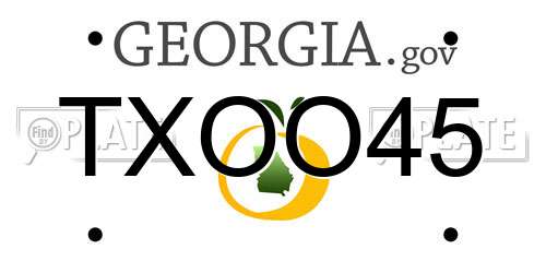 TXOO45 Georgia License Plate