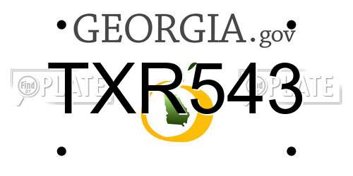 TXR543 Georgia License Plate