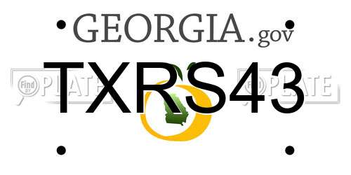 TXRS43 Georgia License Plate