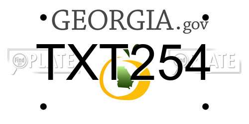 TXT254 Georgia License Plate