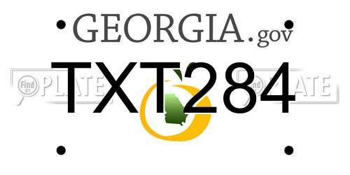 TXT284 Georgia License Plate
