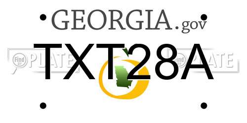 TXT28A Georgia License Plate