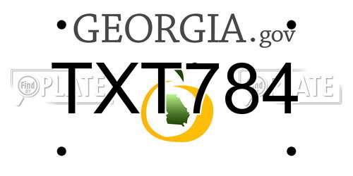 TXT784 Georgia License Plate