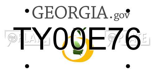 TY00E76 Georgia License Plate