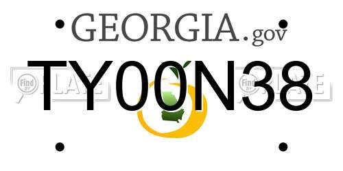 TY00N38 Georgia License Plate
