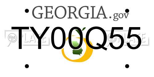 TY00Q55 Georgia License Plate