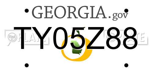TY05Z88 Georgia License Plate