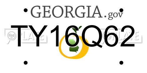 TY16Q62 Georgia License Plate