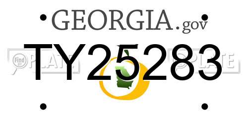 TY25283 Georgia License Plate