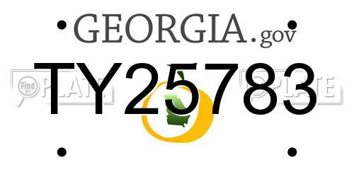 TY25783 Georgia License Plate